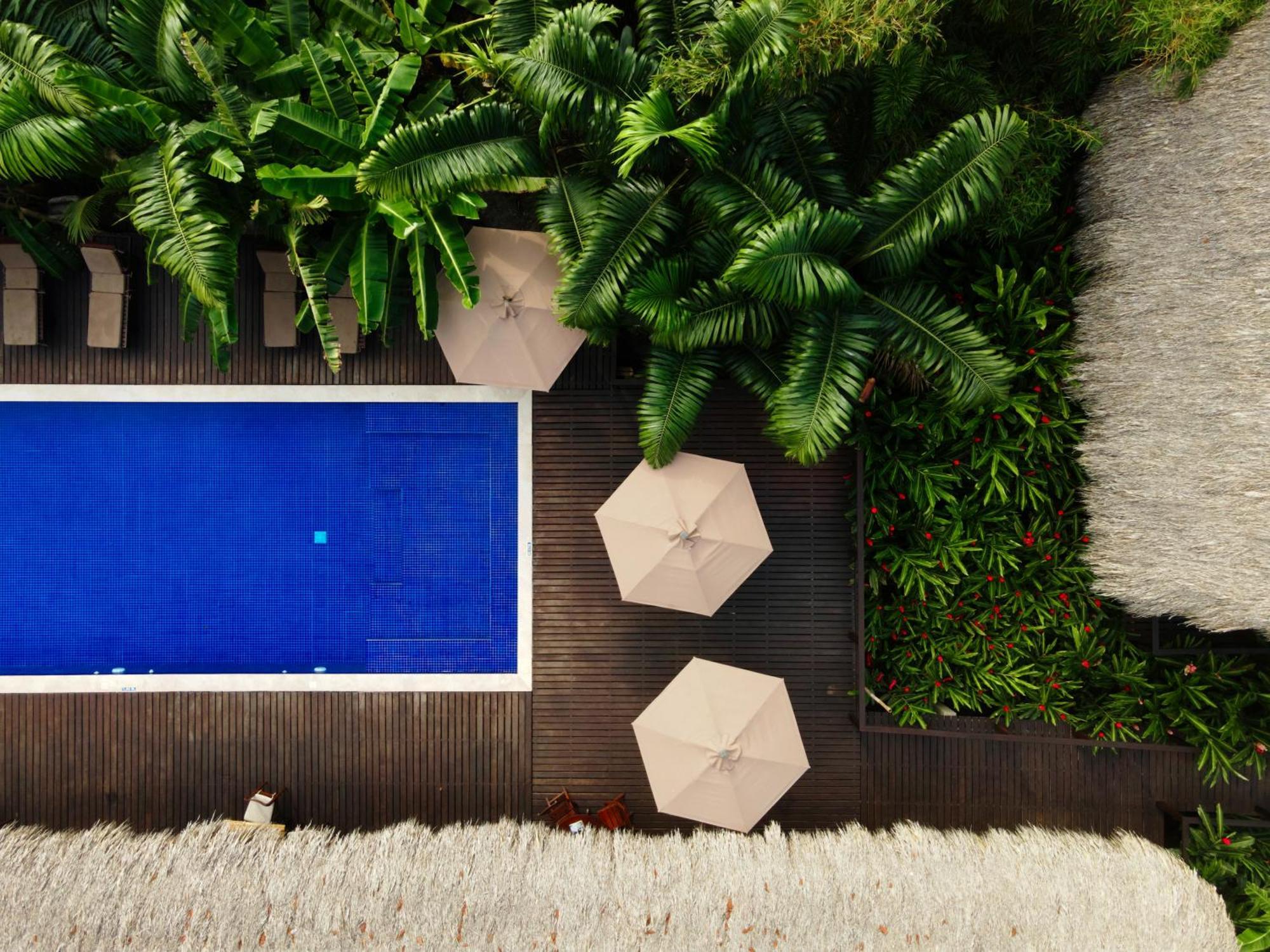 Casa Bambu Tayrona, Los Naranjos Eksteriør billede