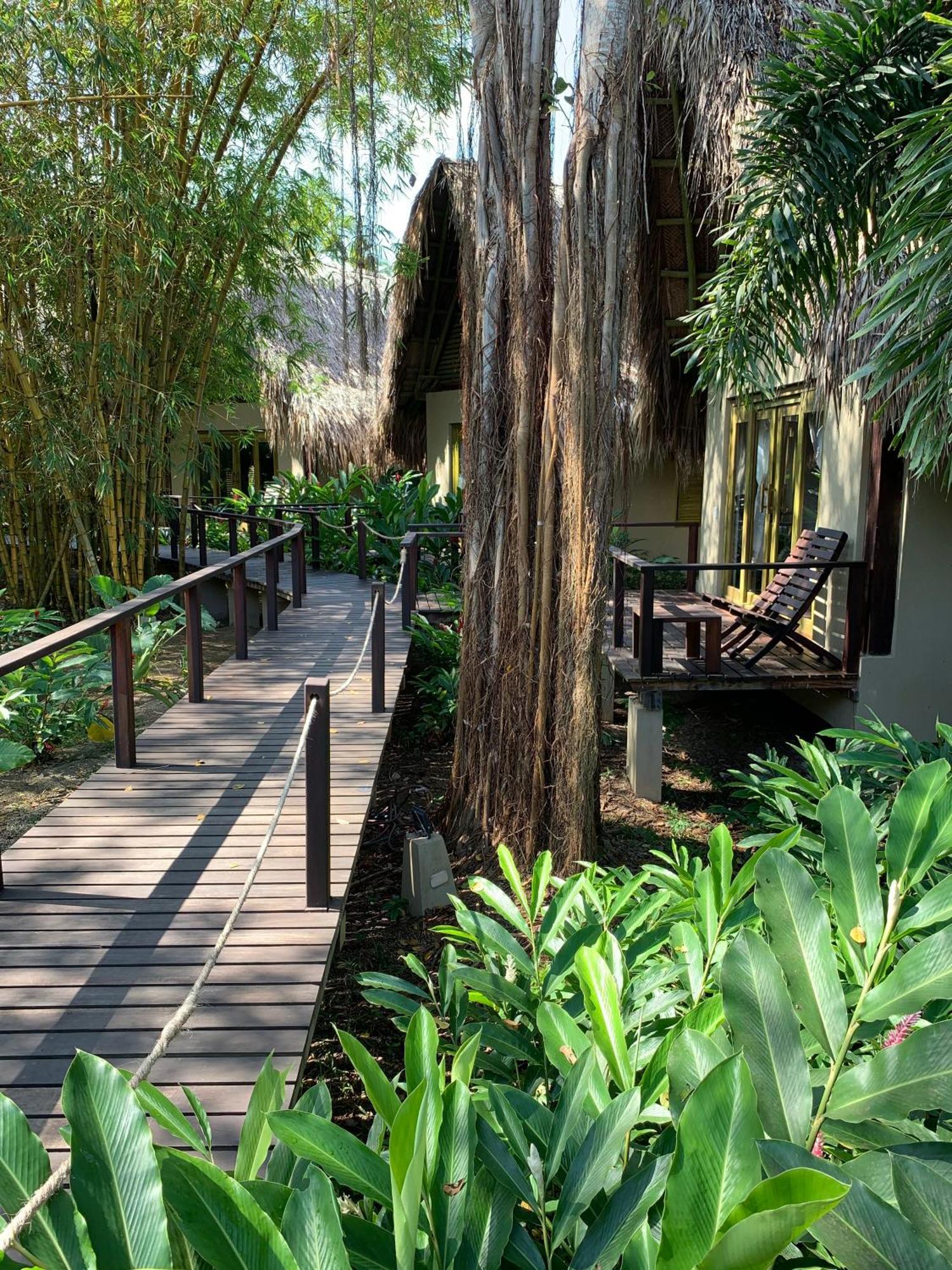Casa Bambu Tayrona, Los Naranjos Eksteriør billede
